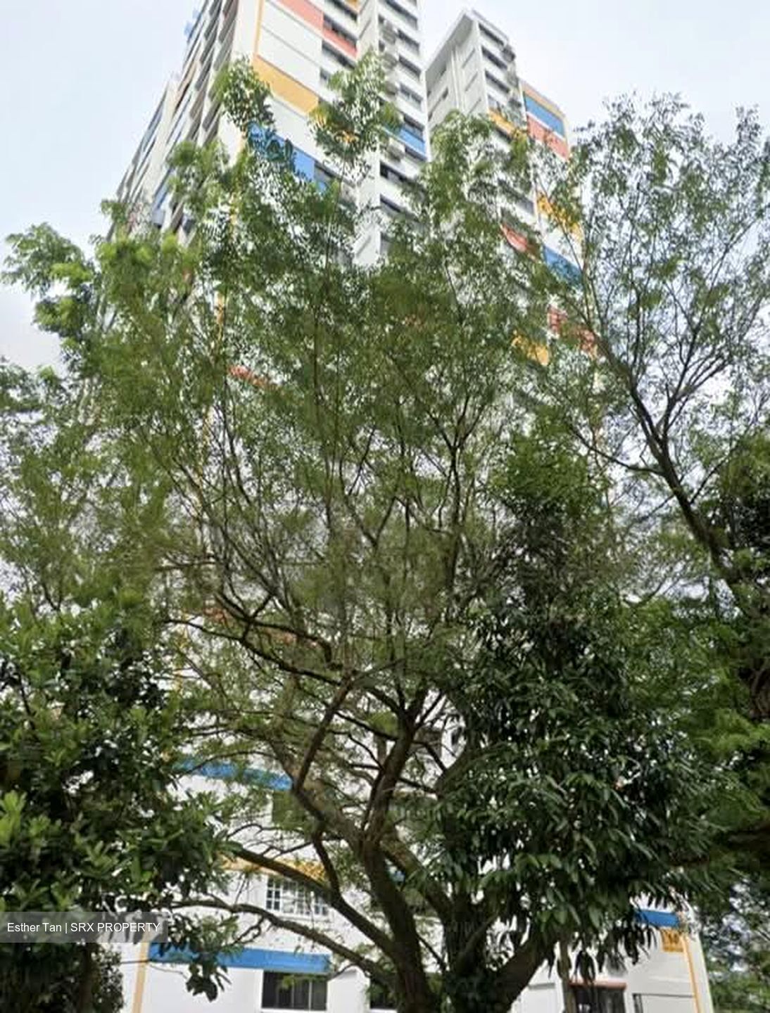 Blk 14 Teck Whye Heights II (Choa Chu Kang), HDB 5 Rooms #600278691